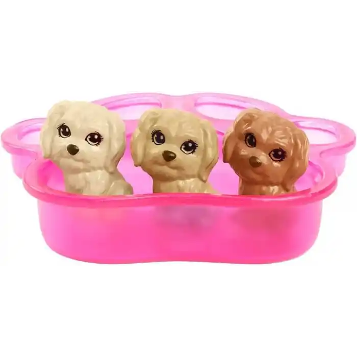 Barbie ve Hayvan Dostları Barbie ve Hayvan Dostları Oyun Seti, köpek, 3 yavru köpek ve aksesuarlar, 3-7 yaş HCK75