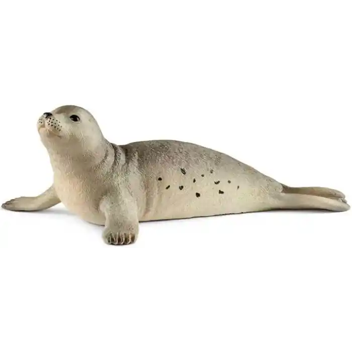 Schleich 14801 Fok Oyuncak Figürü, Çok Renkli