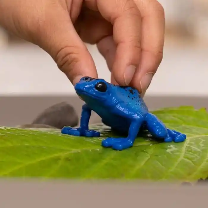 SCHLEICH Zehirli Dart Kurbağası, Oyuncak Figür