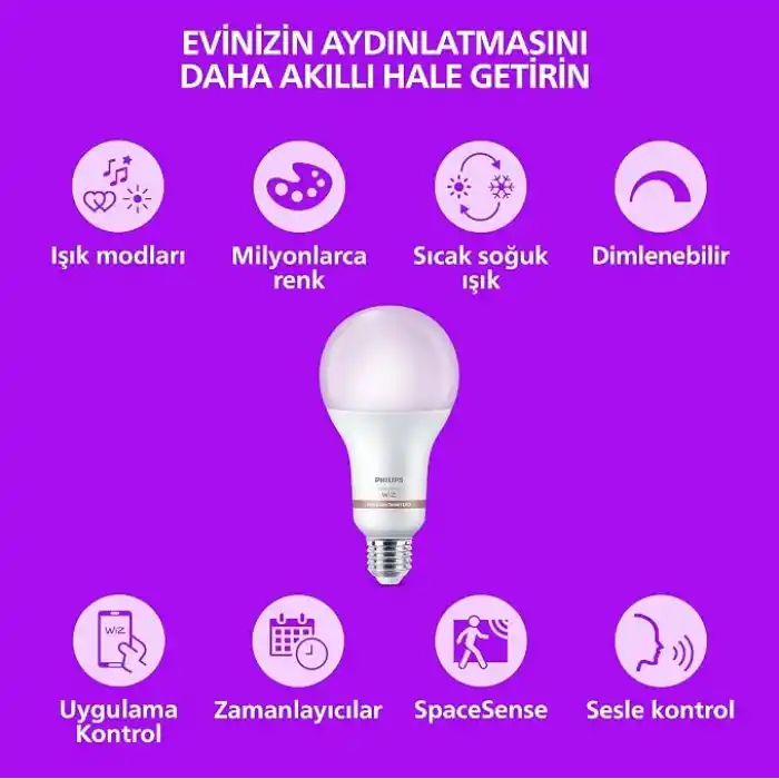 Philips Smart Lighting LED Ampul A80 E27 150W Eşdeğer RGB - Google Home, Alexa, HomeKit ve Matter uyumlu