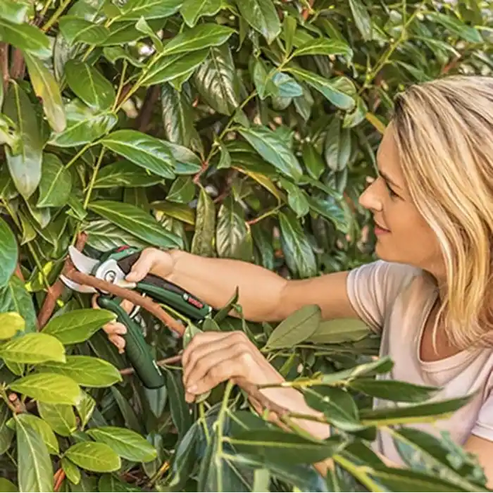 Bosch Home And Garden Yedek Kesici Bıçak (Easyprune için)