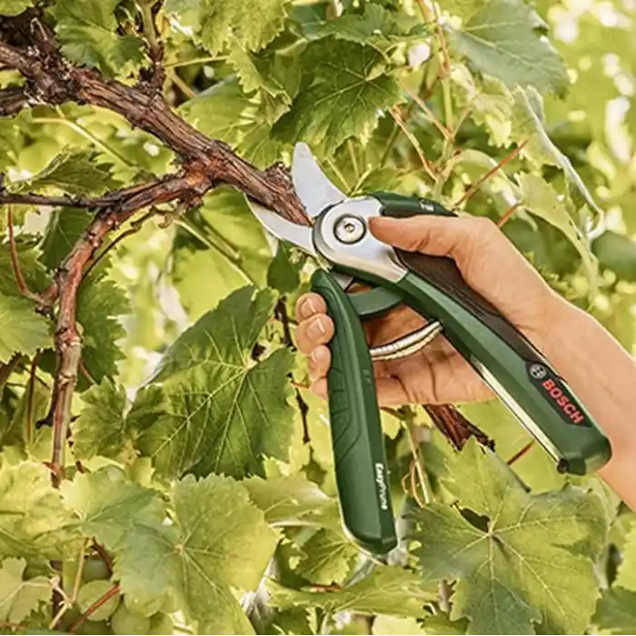 Bosch Home And Garden Yedek Kesici Bıçak (Easyprune için)