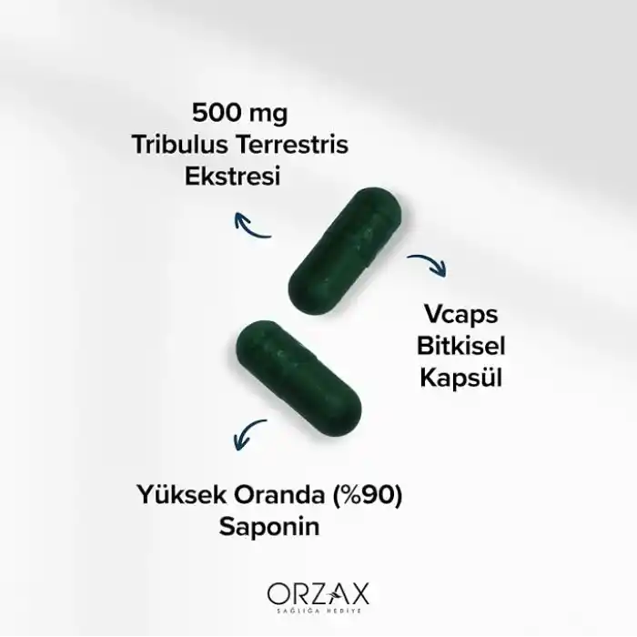Orzax Ocean Tribulus Terrestris 500 Mg 60 Kapsül