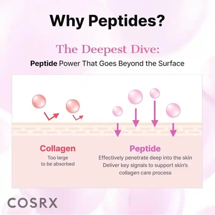 The 6 Peptide Skin Booster Serum