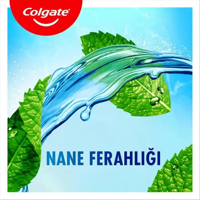 Colgate Plax Nane Ferahlığı Plağa Karşı Alkolsüz Ağız Bakım Suyu 500 mL