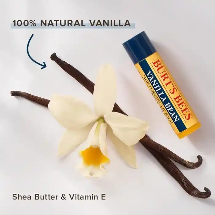 Burts Bees 2li Lip Balm Set (Beeswax + Vanilya)