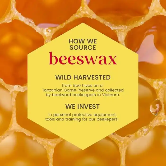 Burts Bees 2li Lip Balm Set (Beeswax + Vanilya)