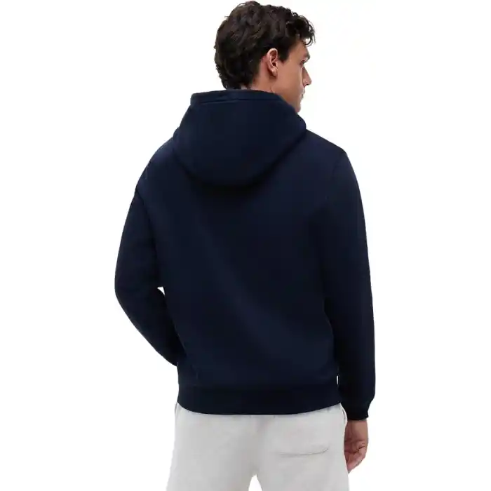 Tommy Jeans TJM REG S FLAG HOODIE Sweatshirt Erkek