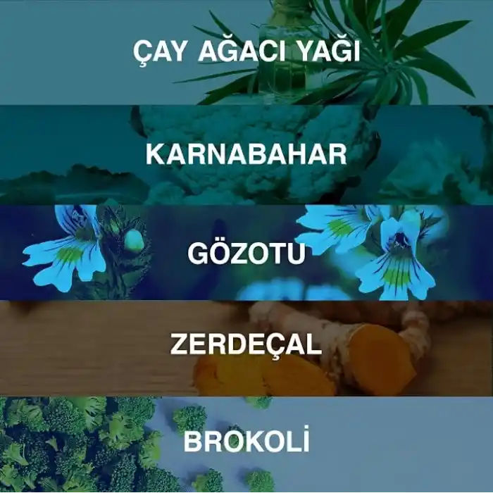 Bioxcin Acnium Sebum Dengeleyici Yüz Yıkama Jeli – Niasinamidli, Termal Sulu, Bitkisel Kompleksli, Akneye Eğilimli ve Yağlı Ciltler İçin, 200 ml