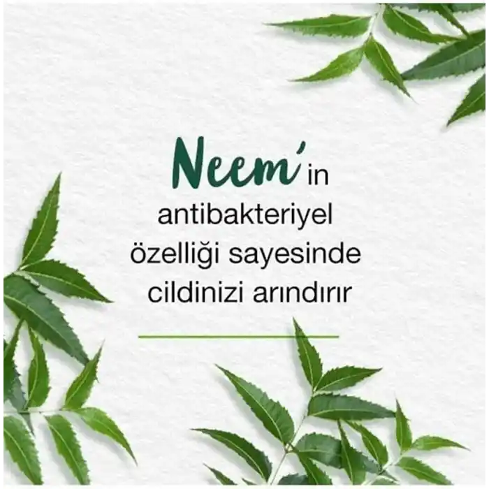 Himalaya Since 1930 Arındırıcı Yüz Temizleme Köpüğü, Neem, Zerdeçal, Parabensiz, Normal Ve Yağlı Ciltler, 150 ml