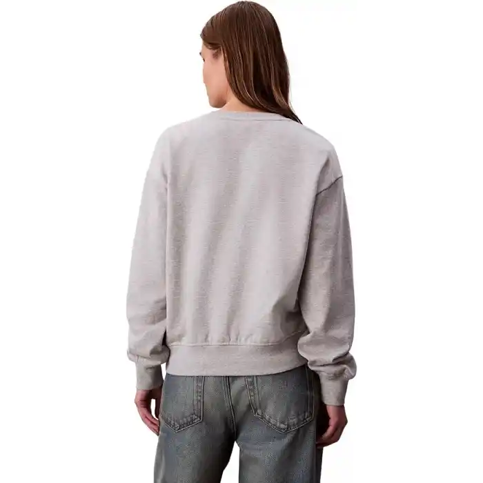Calvin Klein LS ARCHIVE LOGO FRENCH TERRY RLX Sweatshirt Kadın