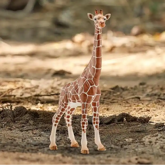 Schleich -Wild Life-Dişi Zürafa