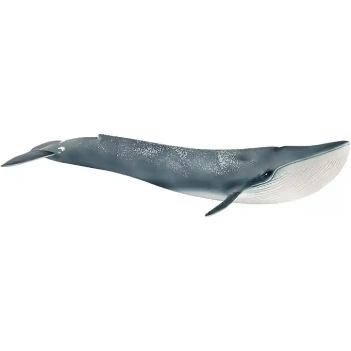 Schleich Mavi Balina Figürü, Wild Life Serisi