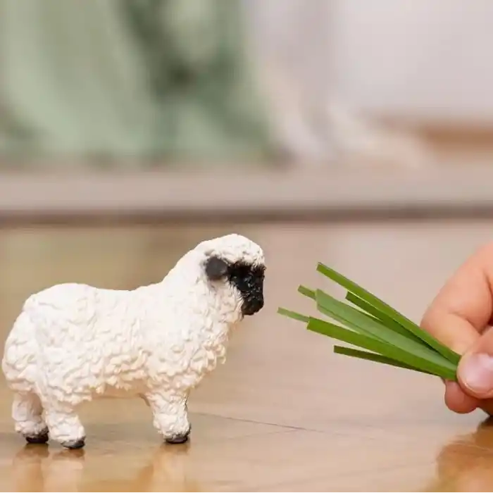 SCHLEICH Siyah Burunlu Koyun Oyuncak