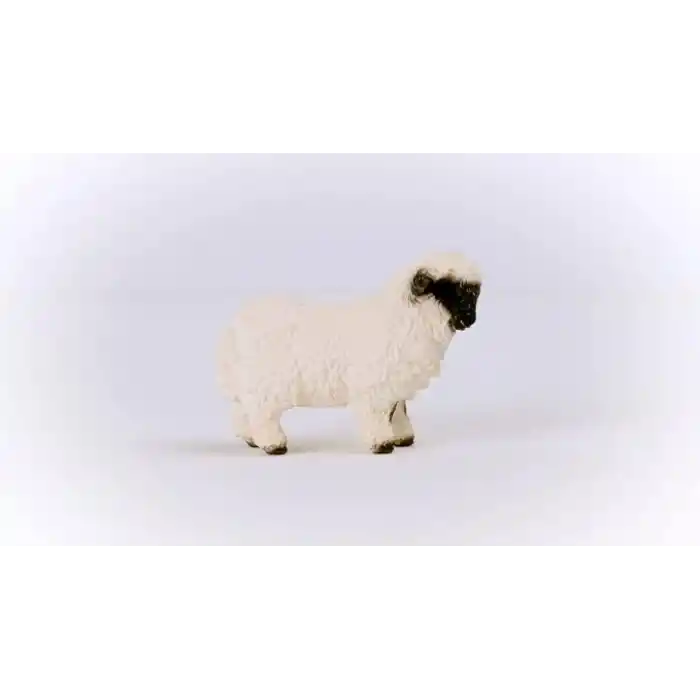 SCHLEICH Siyah Burunlu Koyun Oyuncak