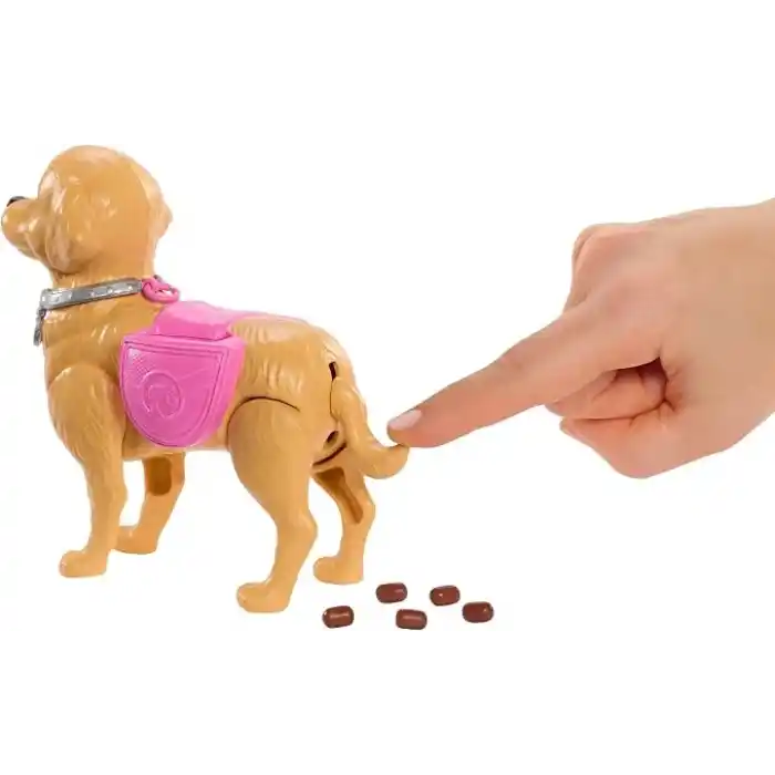 Barbie ve Köpekçiğin Yürüyüş Zamanı oyuncak seti, yürüyen ve tuvaletini yapan oyuncak köpek, Barbie Malibu bebek, kürek ve evcil hayvan aksesuarları, JJB46