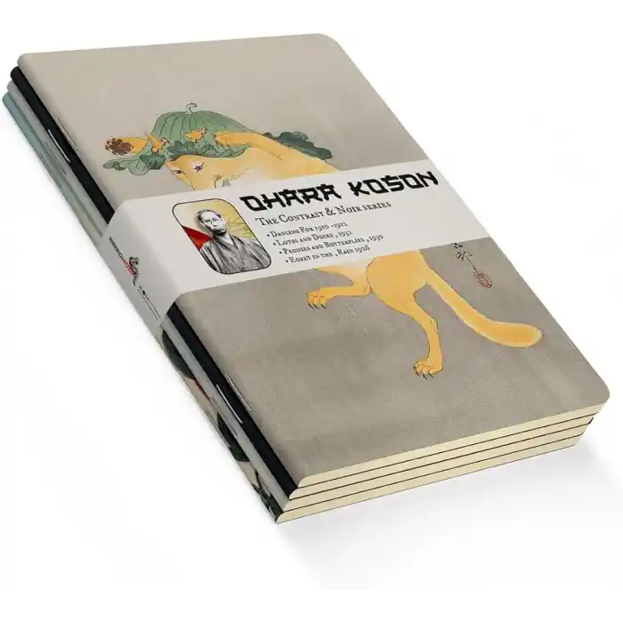Retronote Ohara Kosan The Contrast & Noir Series 4lü Defter Seti, Çizgisiz, 64 Sayfa, 14x21cm