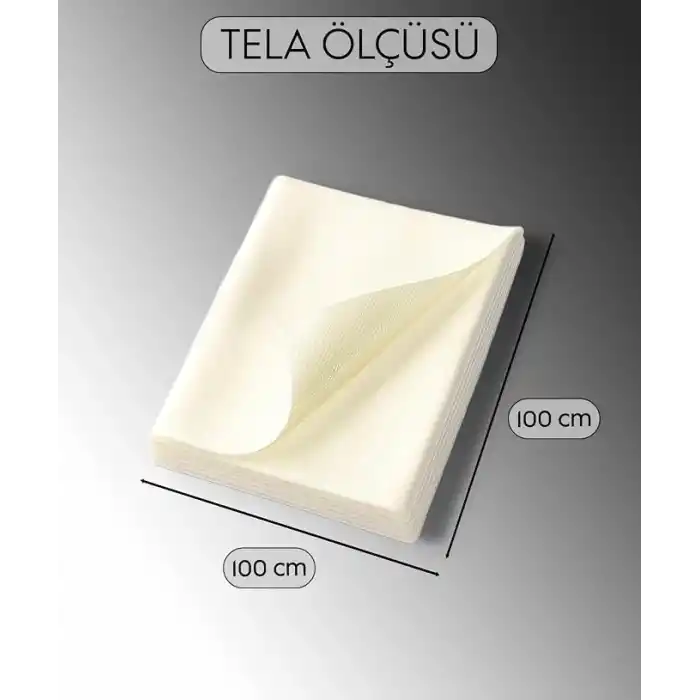modern teknik tekstil BSN Tela 1x1 metre 50 micron - Çift Taraflı Yapışkan Tela - Arma Yapıştırma Telası - Laminasyon Telası - Dikiş Nakış Telası - Ütü ile Yapıştırılan Tela - Kağıtlı Tela