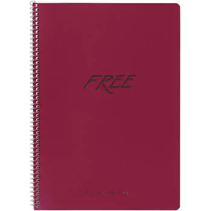 Keskin Color A4 100 Yp.Kareli PP Kap.Free Platinum Def