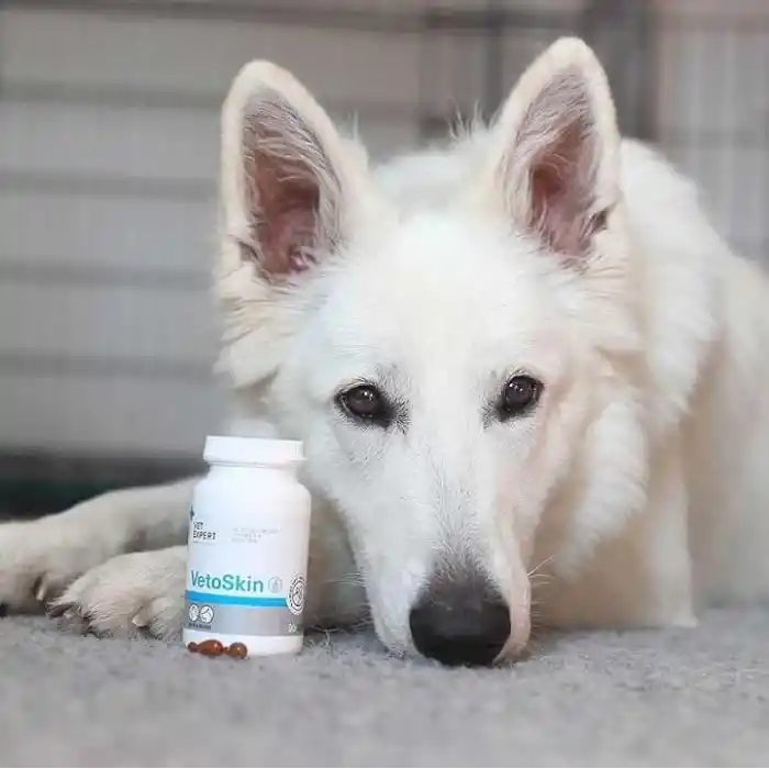 Vet Expert VetoSkin Köpek ve Kedi Tüy ve Deri Vitamini