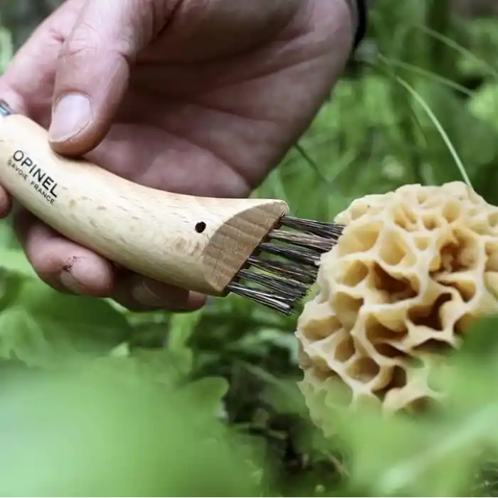 Opinel Kayın Saplı Mantar Toplama Bıçağı Unisex, Kahverengi, Standart