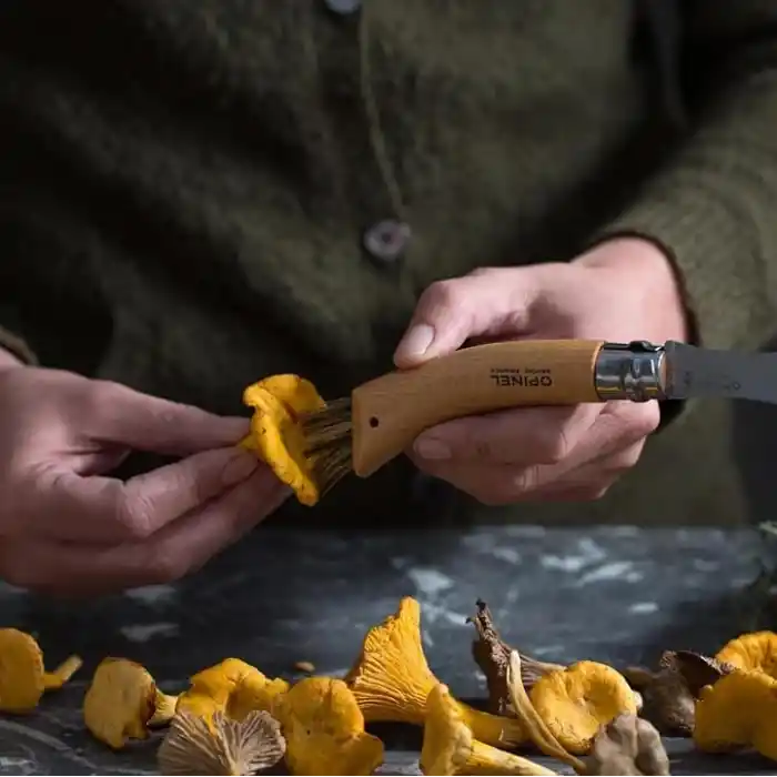 Opinel Kayın Saplı Mantar Toplama Bıçağı Unisex, Kahverengi, Standart