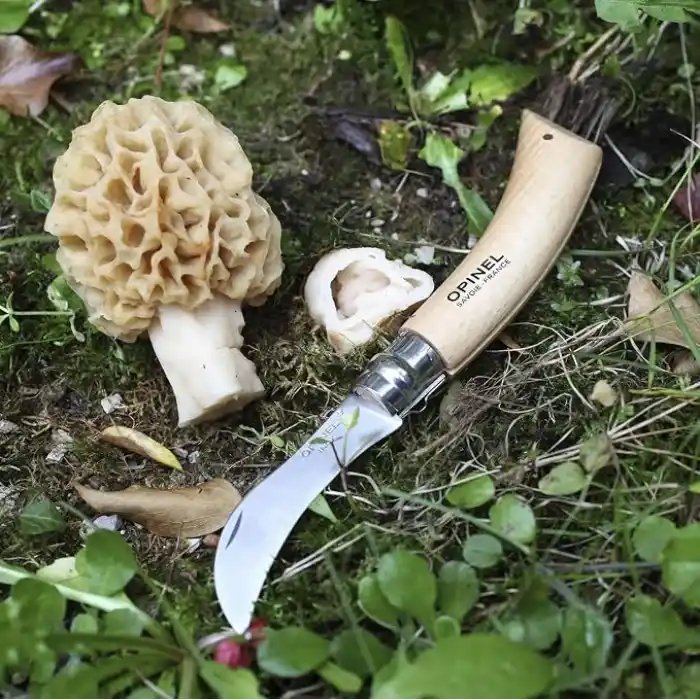 Opinel Kayın Saplı Mantar Toplama Bıçağı Unisex, Kahverengi, Standart