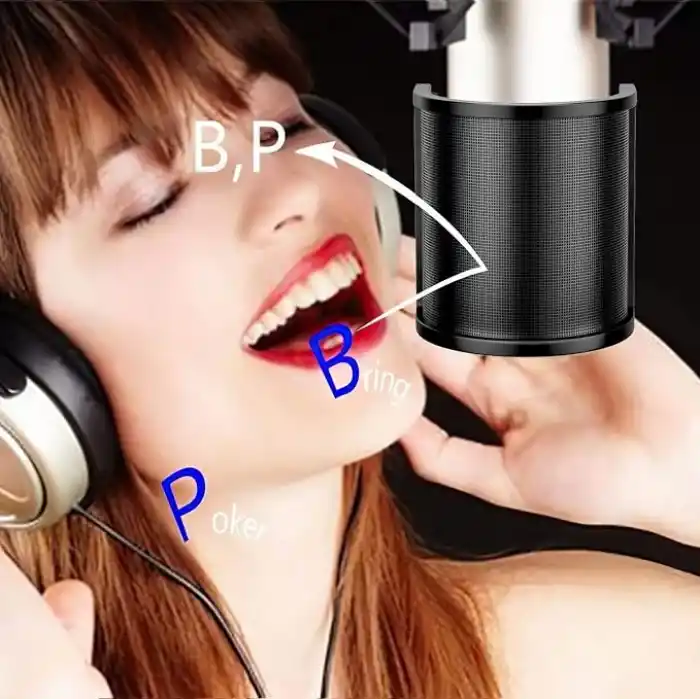 PEMOTech Mikrofon Pop Filtresi, [Yükseltilmiş Üç Katman] Mikrofon Pop Filtresi, Mikrofon Ön Cam Kapağı, Ses Kaydı için El Mikrofon Kalkanı Maskesi, Youtube Videoları, Akış