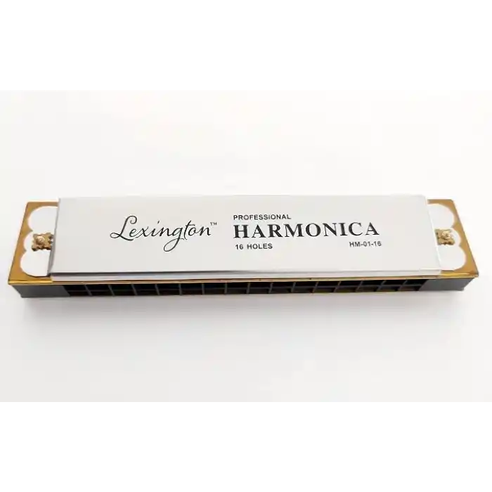 LMHM0116 Mızıka 16 Delik Profesyonel Harmonica Kutulu