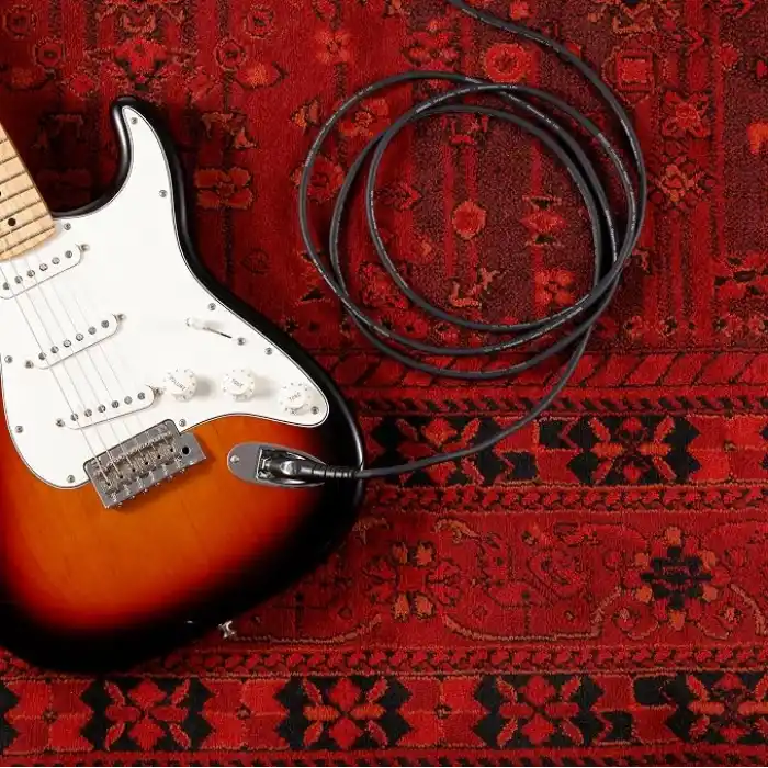 DAddario Custom Serisi Gitar Kablosu | Dünya Çapında En Sevilen Aksesuarlardan En Yüksek Kalite | PW-G-10 | 3 Metre | 2 Düz Fiş