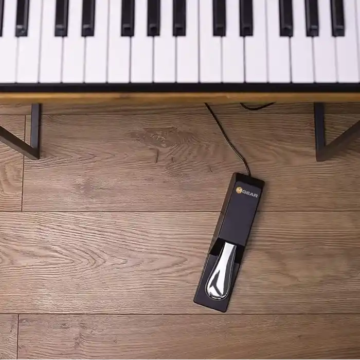 M-AUDIO SP-2 Evrensel Sustain Pedalı