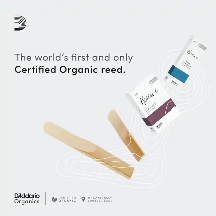 DAddario Organik Klasik Bb Klarnet Yaprakları - Klarnet için Boru Yaprakları - İlk ve Tek Organik Kamış Borusu - 3,5 Kalınlık, 10 Paket