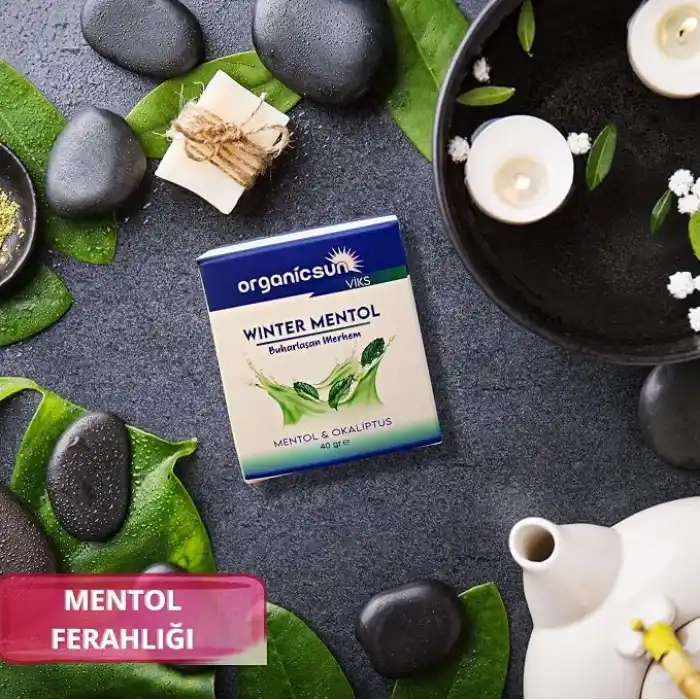 Winter Mentol Buharlaşan Merhem Viks Vikis Mentol ve Okaliptus 40 Gr