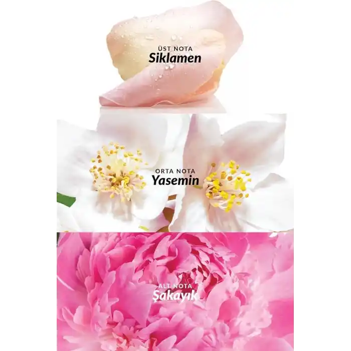 Avon Celebre 50 Ml. Kadın Parfüm Edt