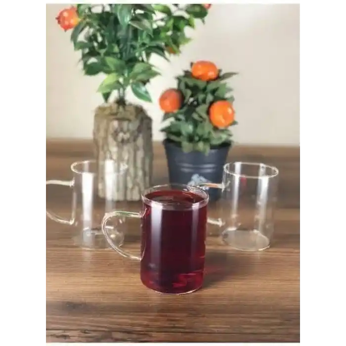 Orret Home 6lı Borosilikat Cam Kupa – Isıya Dayanıklı Termisil Çay ve Kahve Bardağı Seti, Şeffaf Cam Kupa, Sıcak Soğuk İçecekler İçin Dayanıklı Bardak Takımı (6 Adet)
