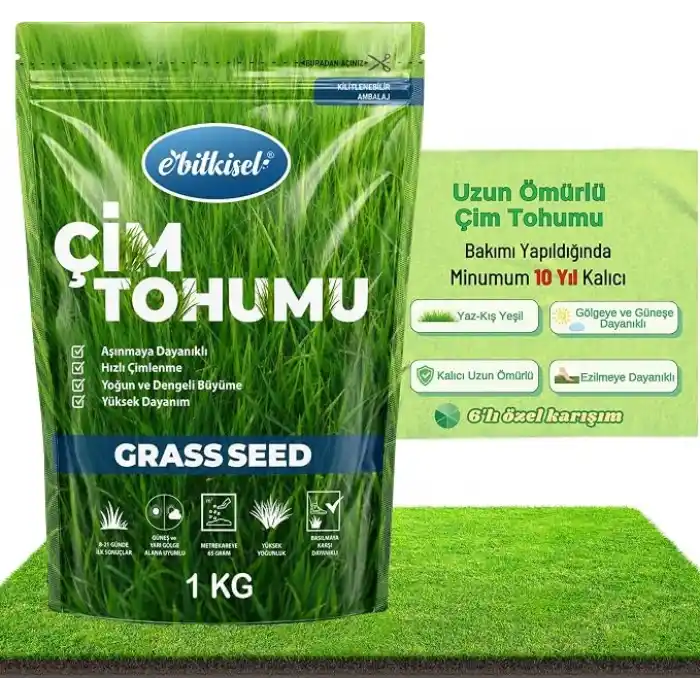 Çok Yıllık Çim Tohumu 1 Kg Uzun Ömürlü 6lı Karışım Gölge ve Aşırı Güneşli Alan Uygun Yetiştirilmesi Kolay 4 Mevsim Yeşil