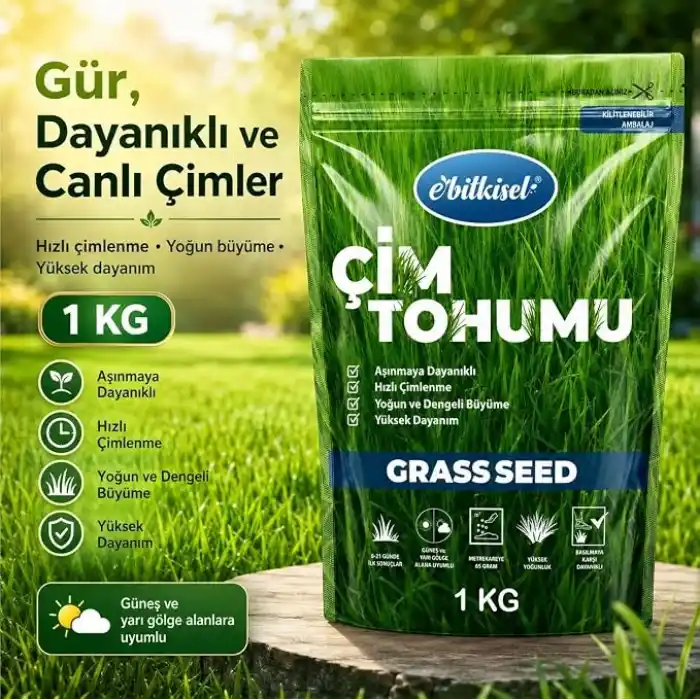 Çok Yıllık Çim Tohumu 1 Kg Uzun Ömürlü 6lı Karışım Gölge ve Aşırı Güneşli Alan Uygun Yetiştirilmesi Kolay 4 Mevsim Yeşil