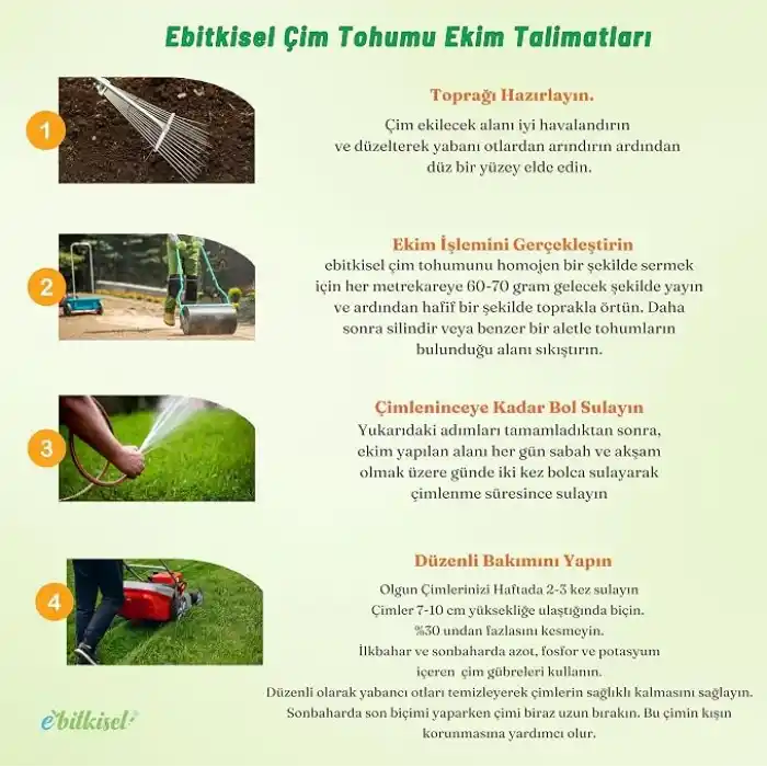 Çok Yıllık Çim Tohumu 1 Kg Uzun Ömürlü 6lı Karışım Gölge ve Aşırı Güneşli Alan Uygun Yetiştirilmesi Kolay 4 Mevsim Yeşil