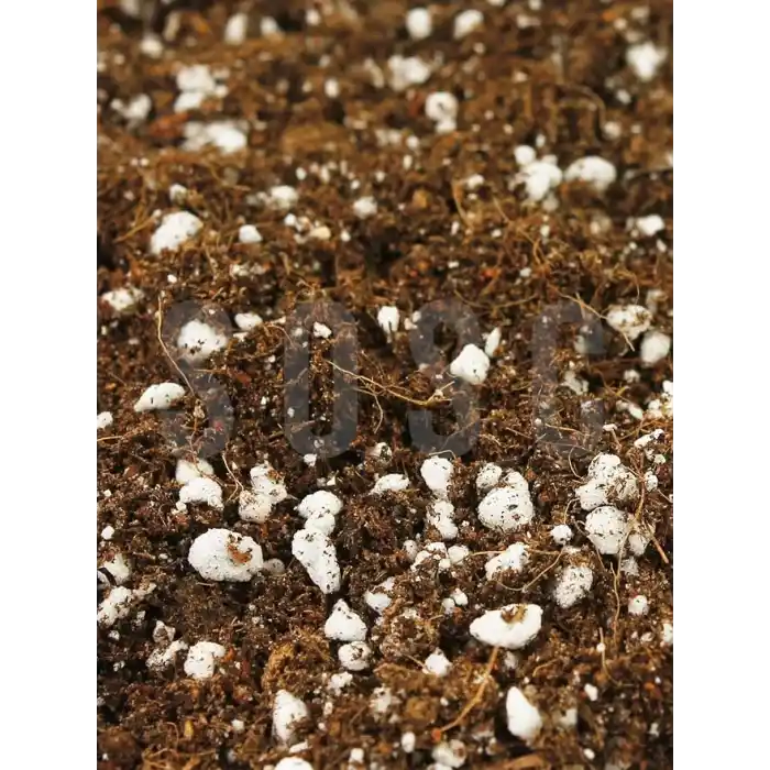 SUBSTRAT LIGHT MIX Ithal Sphangum Torfu Cocopeat Perlit Özel Karışım Saksı Harcı Çiçek Ve Bitki Toprağı 1 LT