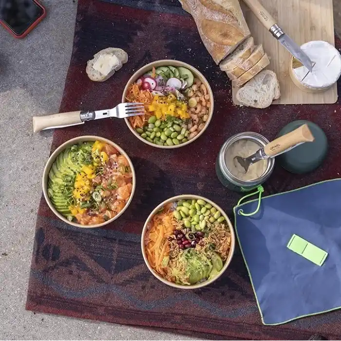 Opinel PLUS PICNIC WITH N08 BEECH /1