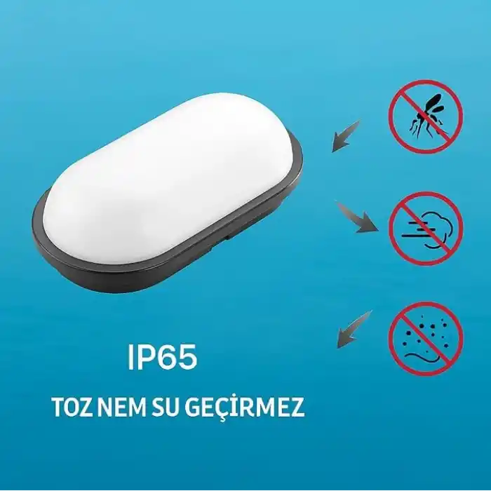 Aydos 20W IP65 Oval Siyah LED Tavan ve Duvar Lambası | 6500K Beyaz Işık | Su Geçirmez Banyo Bahçe Aydınlatma Armatürü | 2000 Lümen | 270x147x78mm (220V)