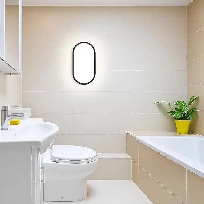 Aydos 20W IP65 Oval Siyah LED Tavan ve Duvar Lambası | 6500K Beyaz Işık | Su Geçirmez Banyo Bahçe Aydınlatma Armatürü | 2000 Lümen | 270x147x78mm (220V)