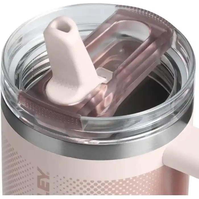 Stanley The Quencher Protour Flip Straw Tumbler 0.6L / 20oz | Pudra