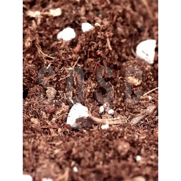 Substrat Mix Ithal Torf Cocopeat Perlit Özel Karışım Saksı Harcı Çiçek Ve Bitki Toprağı 3 LT