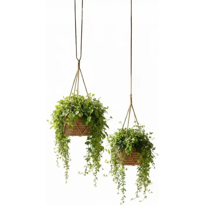 Deconox 2li Asılabilir El Yapımı ve Doğal Yuvarlak Hasır Saksılık Seti, 2li İpli Asılabilir Hasır Yuvarlak Saksı Seti (23cm*18cm-20cm*15cm)