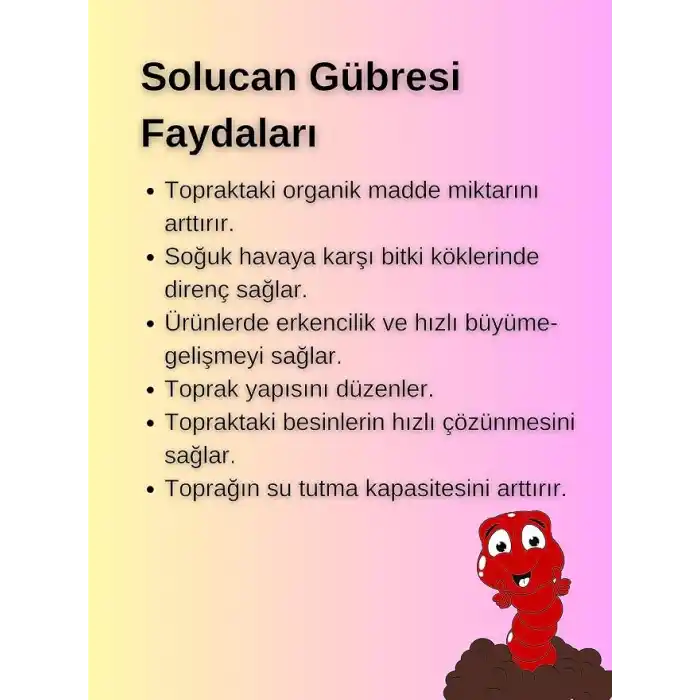 TeoxFarm Teox Farm-Katı Solucan Gübresi-1KG