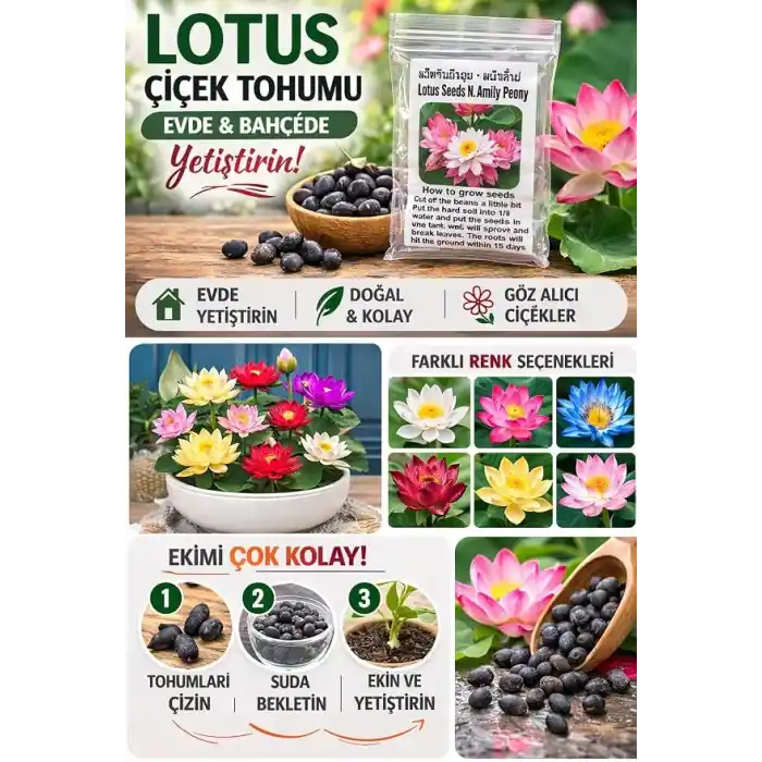 15 Adet Lotus Çiçeği Tohumu Nilüfer Çiçeği Karışık Renkli Orjinal Lotus Su ve Toprakta Yetişir