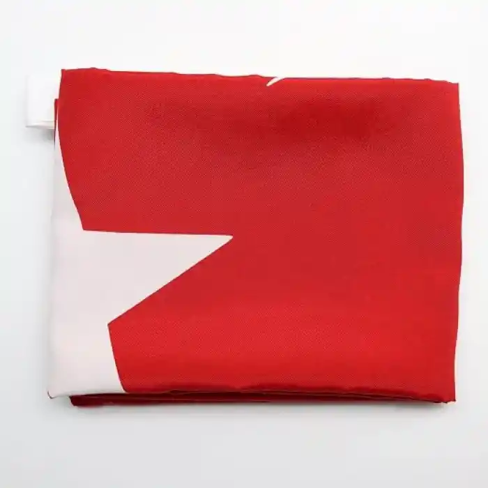 Premium Türk Bayrağı (70X105CM) - Nefes Alabilir 125gr Rashel Kumaş, Çift Dikişli, Sağlam Kulplu, UV ve Solmaya Karşı Dayanıklı, İç/Dış Mekan Kullanımı (70x105CM)