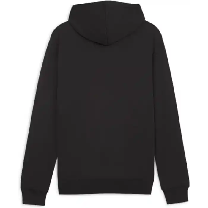 PUMA Teamgoal Casuals kapüşonlu sweatshirt Kazak Erkek