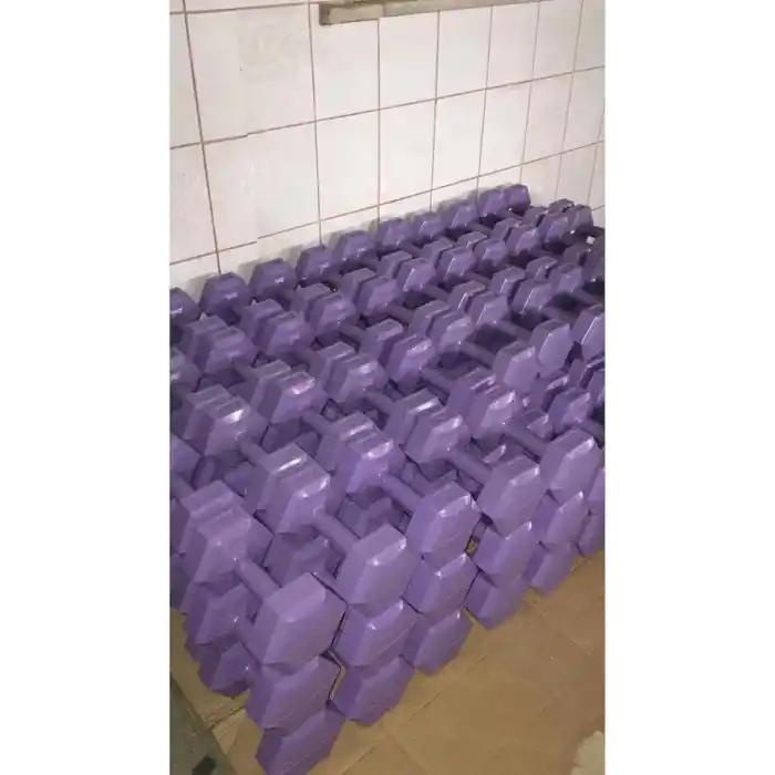 Leyaton Mor Dambıl 2 Kg x 2 Adet Vinyl Kaplı Fitness Dumbell Ağırlık Seti, 2KG2MORR